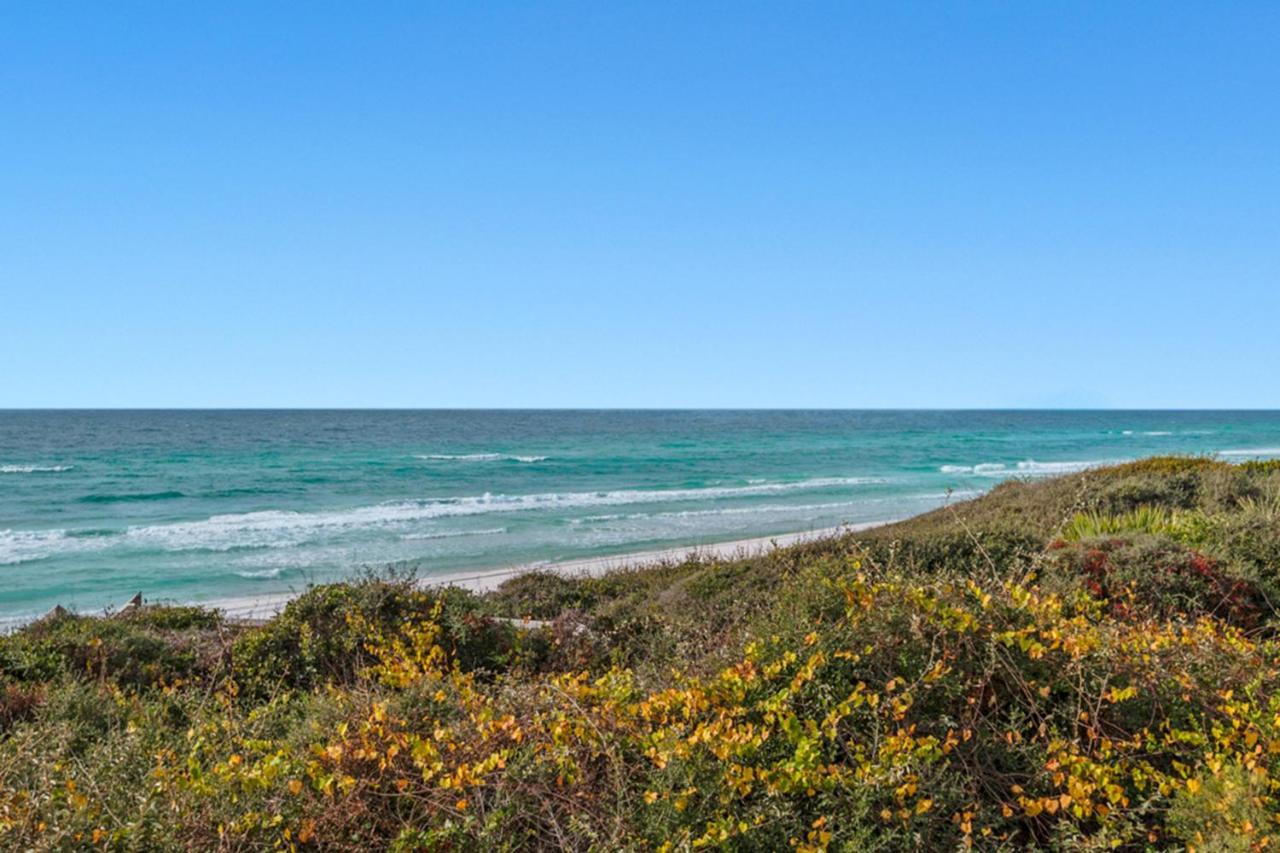 The Palms At Seagrove Βίλα Santa Rosa Beach Εξωτερικό φωτογραφία